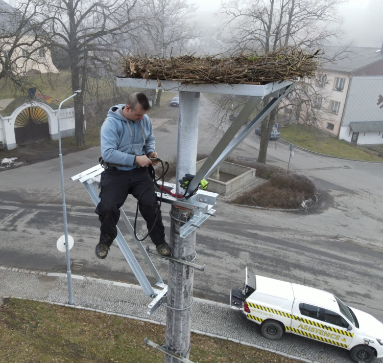 FOTOGALERIE: Instalace nového čapího hnízda v Dešenicích