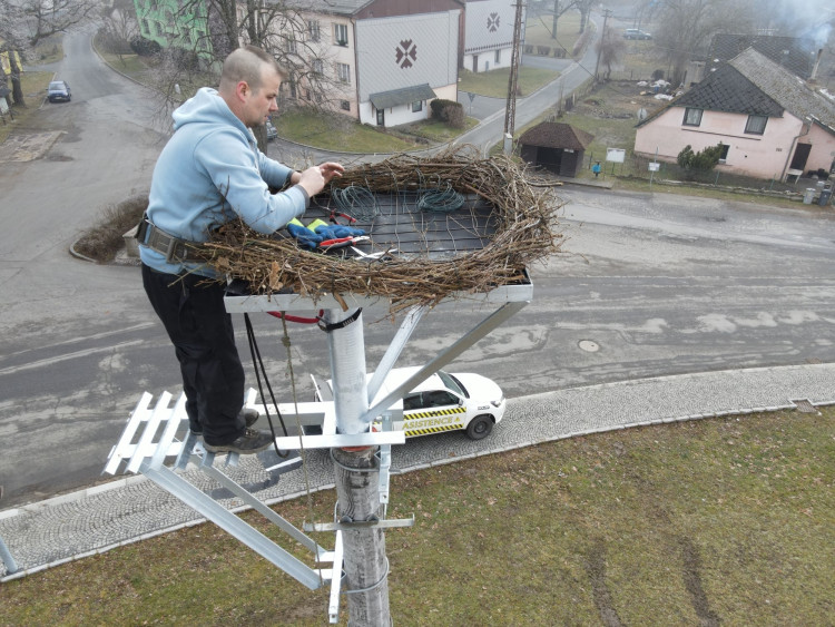 FOTOGALERIE: Instalace nového čapího hnízda v Dešenicích