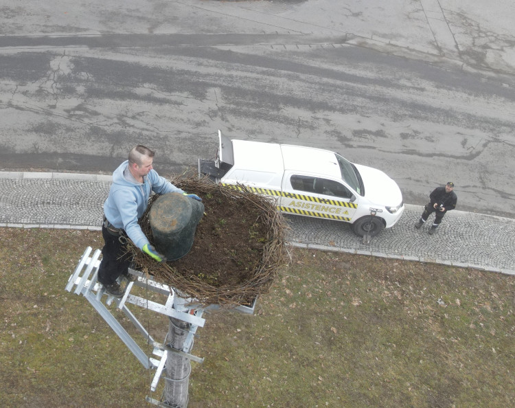 FOTOGALERIE: Instalace nového čapího hnízda v Dešenicích