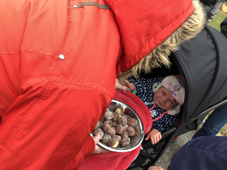 Masopust v Dolní Cerekvi