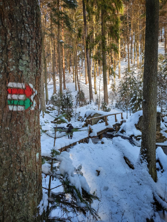 FOTOGALERIE: Procházka okolo zasněžených Rešovských vodopádů