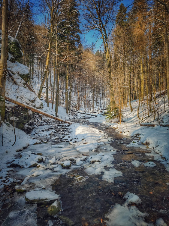 FOTOGALERIE: Procházka okolo zasněžených Rešovských vodopádů