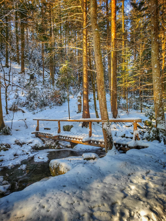 FOTOGALERIE: Procházka okolo zasněžených Rešovských vodopádů