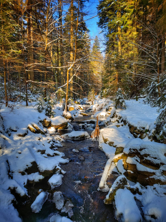FOTOGALERIE: Procházka okolo zasněžených Rešovských vodopádů