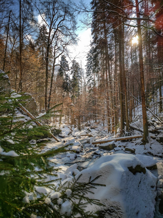 FOTOGALERIE: Procházka okolo zasněžených Rešovských vodopádů