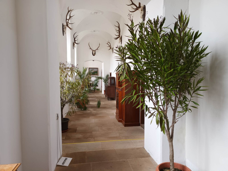 FOTOGALERIE: Zámek Plumlov jako národní kulturní památka