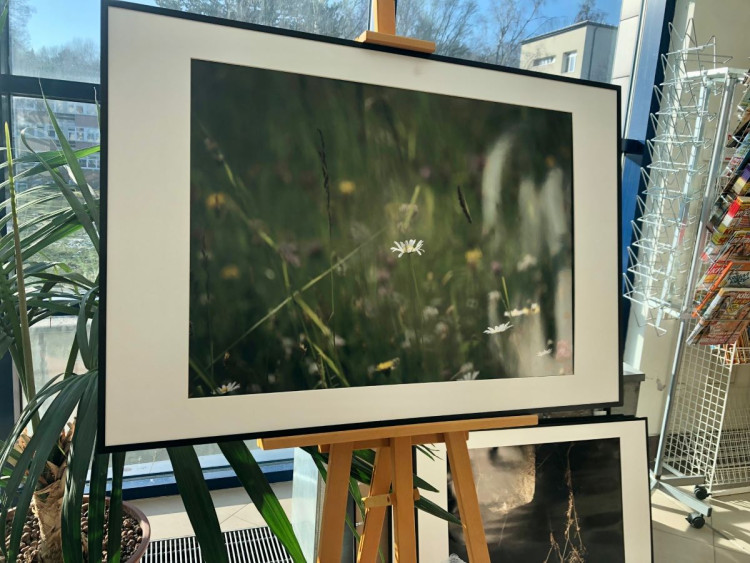 Výstava v novoměstské nemocnici