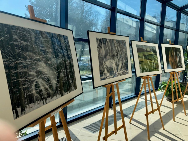 Výstava v novoměstské nemocnici