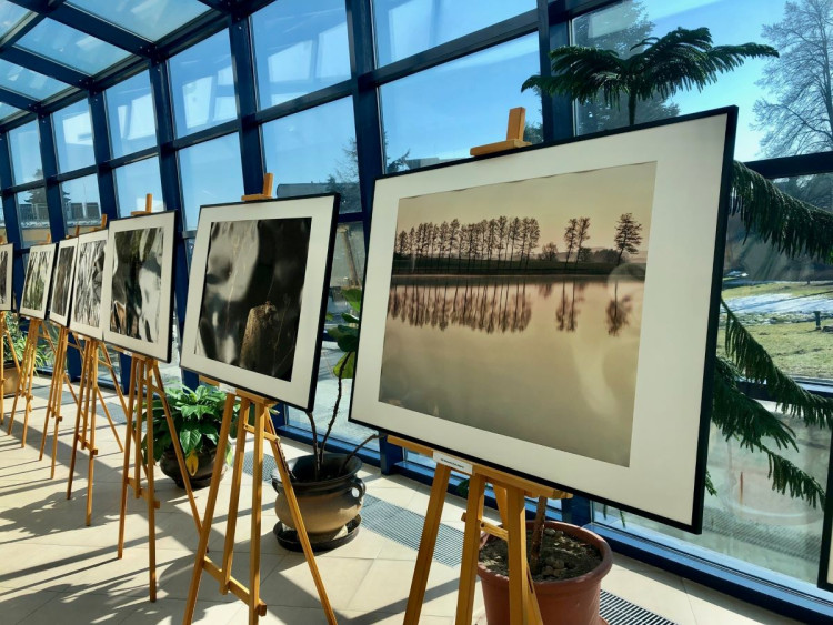 Výstava v novoměstské nemocnici