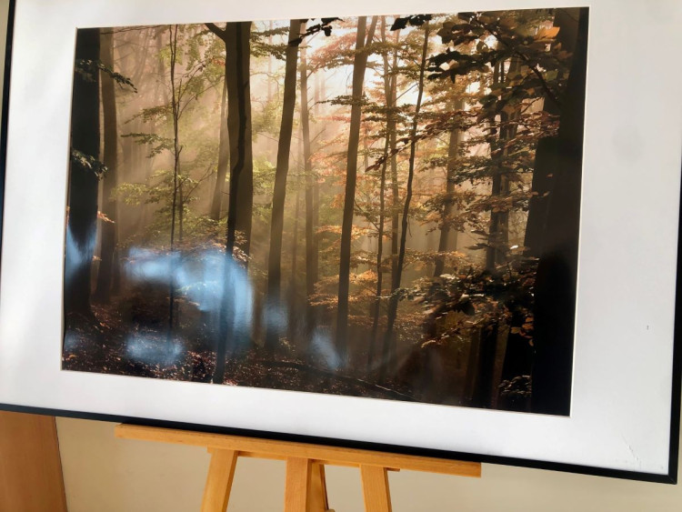 Výstava v novoměstské nemocnici