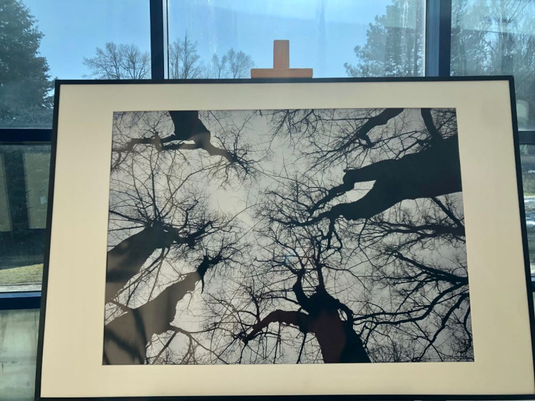 Výstava v novoměstské nemocnici