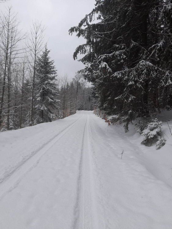 FOTOGALERIE: Jeseníky lákají na jarní lyžování, volné sjezdovky a výlety