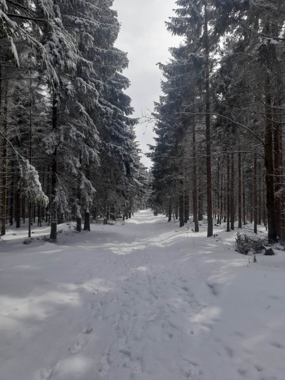 FOTOGALERIE: Jeseníky lákají na jarní lyžování, volné sjezdovky a výlety