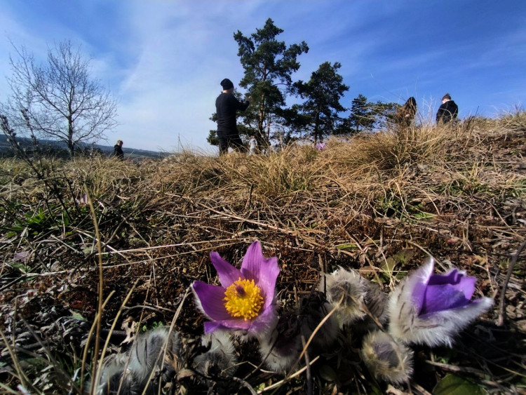 Koniklece u Trnavy na Třebíčsku