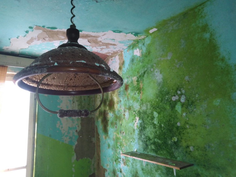 Hotel Harmonie u Švábova na Jihlavsku