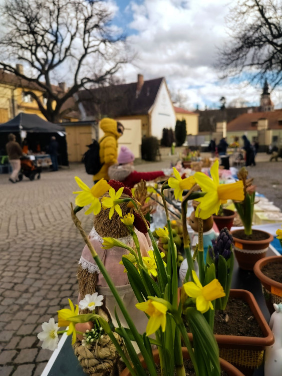! Nepojmenováno - 17:38:20 25.3.2023
