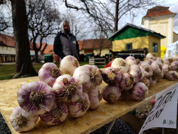 ! Nepojmenováno - 17:38:20 25.3.2023