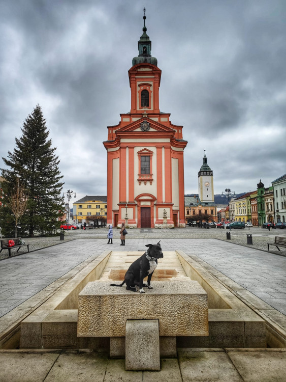 FOTOGALERIE: Nenároční procházka okolo Hranic