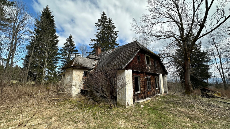 FOTOGALERIE: Pustina 2023