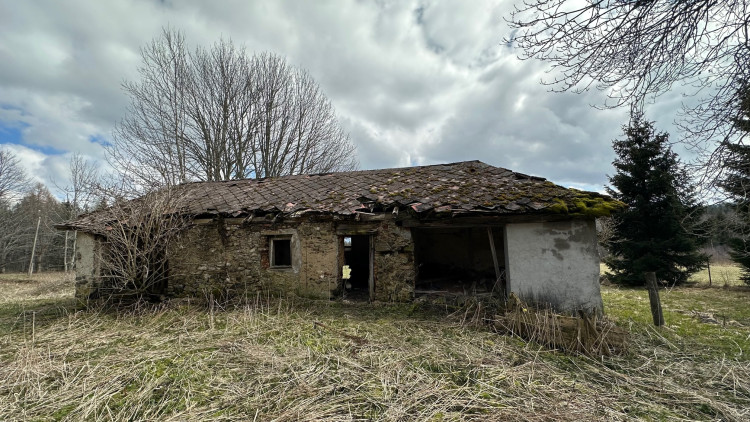 FOTOGALERIE: Pustina 2023