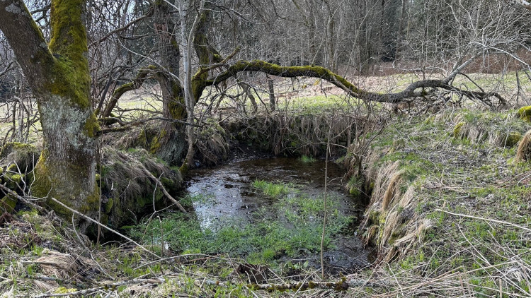 FOTOGALERIE: Pustina 2023