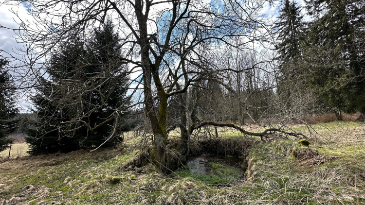 FOTOGALERIE: Pustina 2023