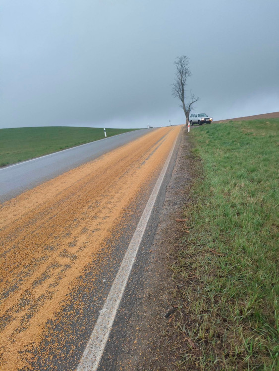 Vysypané zrní na vozovce v Dolní Cerekvi