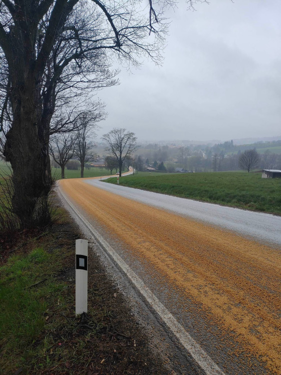 Vysypané zrní na vozovce v Dolní Cerekvi