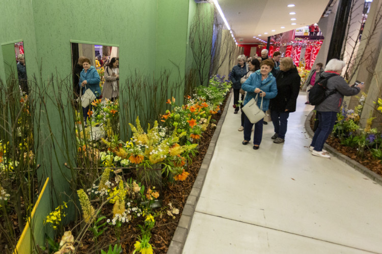FOTOGALERIE: Jarní Flora nese podtitul Království barev, láká na trhy i bonsaje