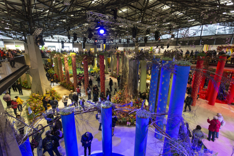 FOTOGALERIE: Jarní Flora nese podtitul Království barev, láká na trhy i bonsaje