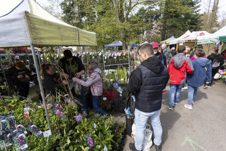 FOTOGALERIE: Jarní Flora nese podtitul Království barev, láká na trhy i bonsaje
