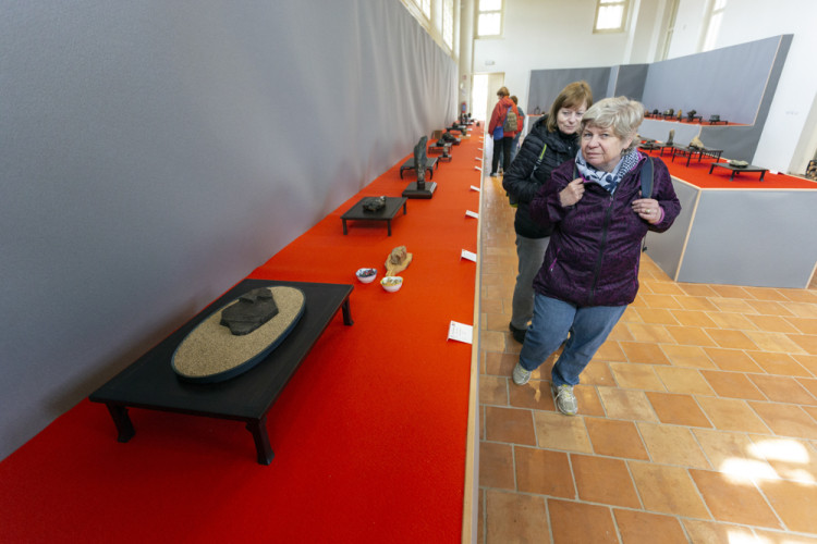 FOTOGALERIE: Jarní Flora nese podtitul Království barev, láká na trhy i bonsaje