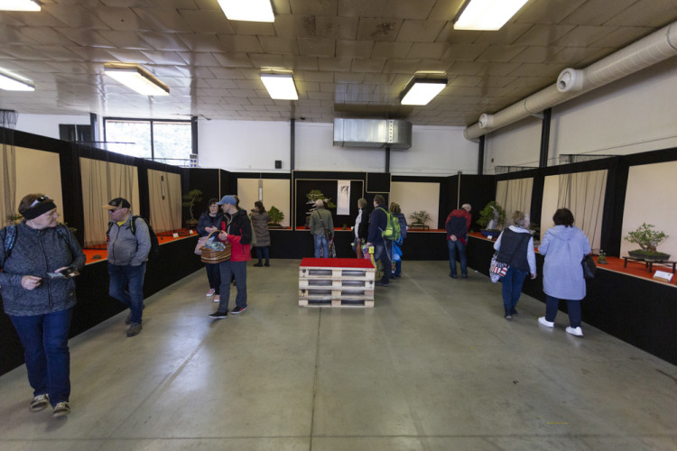 FOTOGALERIE: Jarní Flora nese podtitul Království barev, láká na trhy i bonsaje