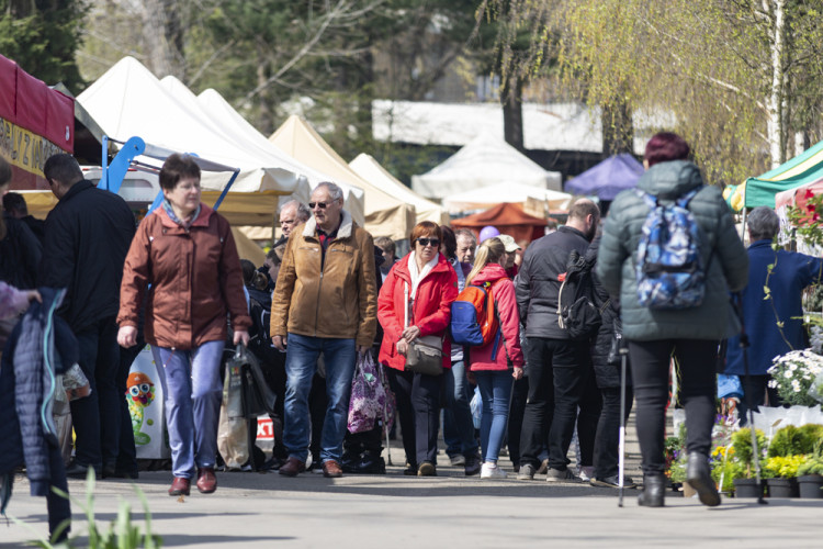 FOTOGALERIE: Jarní Flora nese podtitul Království barev, láká na trhy i bonsaje