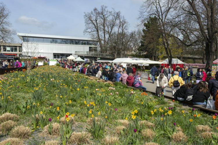 FOTOGALERIE: Jarní Flora nese podtitul Království barev, láká na trhy i bonsaje