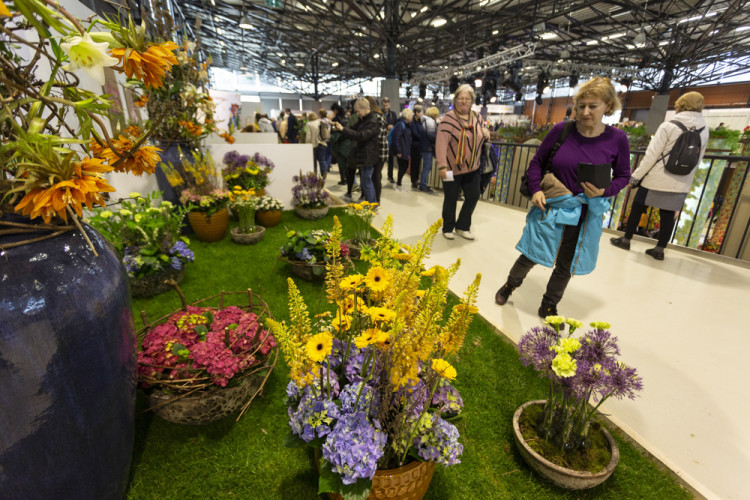 FOTOGALERIE: Jarní Flora nese podtitul Království barev, láká na trhy i bonsaje
