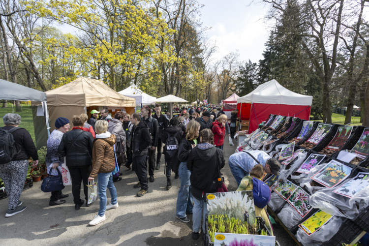 FOTOGALERIE: Jarní Flora nese podtitul Království barev, láká na trhy i bonsaje
