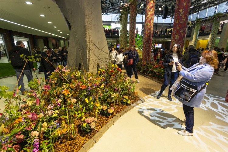 FOTOGALERIE: Jarní Flora nese podtitul Království barev, láká na trhy i bonsaje