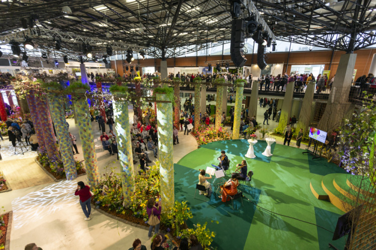 FOTOGALERIE: Jarní Flora nese podtitul Království barev, láká na trhy i bonsaje