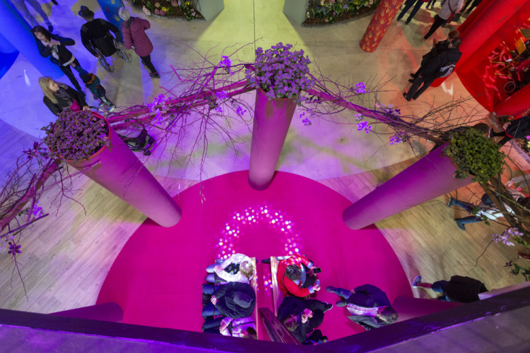 FOTOGALERIE: Jarní Flora nese podtitul Království barev, láká na trhy i bonsaje