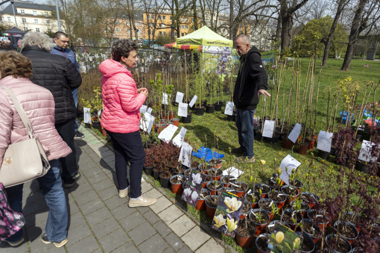 FOTOGALERIE: Jarní Flora nese podtitul Království barev, láká na trhy i bonsaje