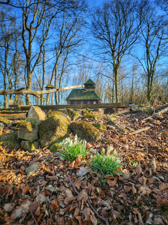 FOTOGALERIE: Cimburk a nenáročný okruh lesem plný zajímavých míst