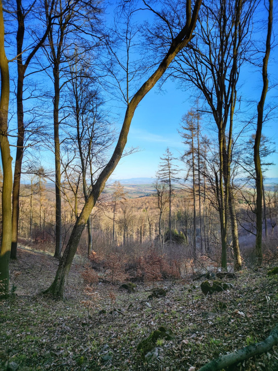 FOTOGALERIE: Cimburk a nenáročný okruh lesem plný zajímavých míst