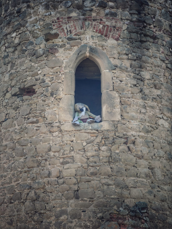 FOTOGALERIE: Cimburk a nenáročný okruh lesem plný zajímavých míst