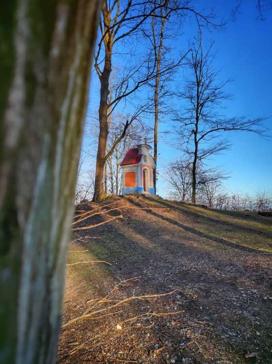 FOTOGALERIE: Cimburk a nenáročný okruh lesem plný zajímavých míst