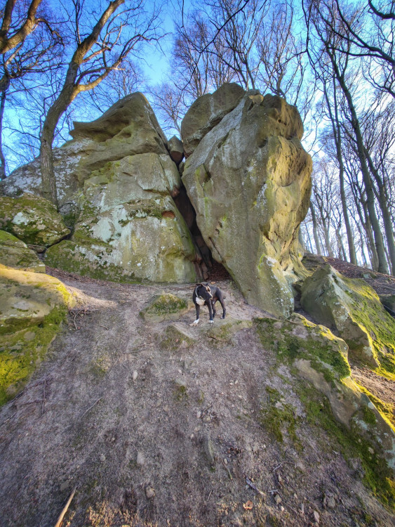 FOTOGALERIE: Cimburk a nenáročný okruh lesem plný zajímavých míst