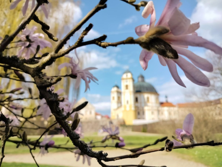 Park u zámku v Jaroměřicích nad Rokytnou