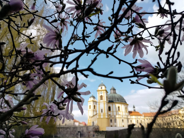 Park u zámku v Jaroměřicích nad Rokytnou