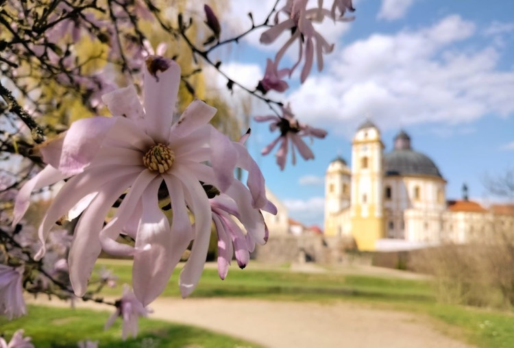 Park u zámku v Jaroměřicích nad Rokytnou