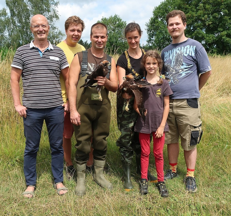 Vypouštění dravců vybavených vysílačkou